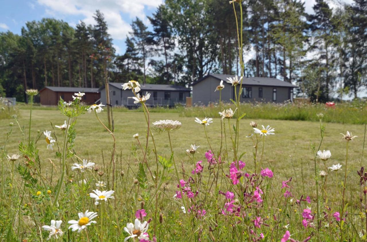 Hollicarrs - Sunflower Lodge York Extérieur photo